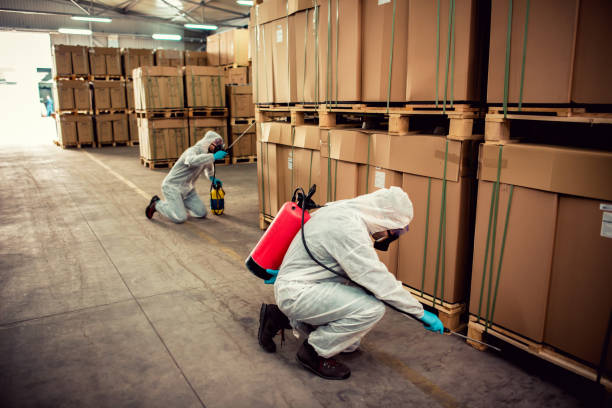 Best Exterminator Services  in Seaside, OR
