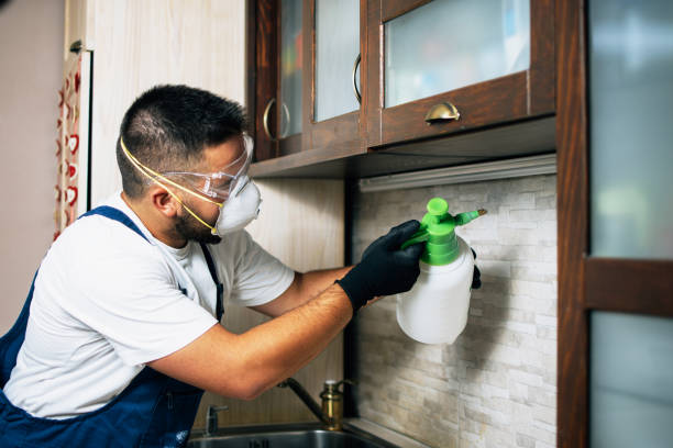 Best Wildlife Control Services  in Seaside, OR