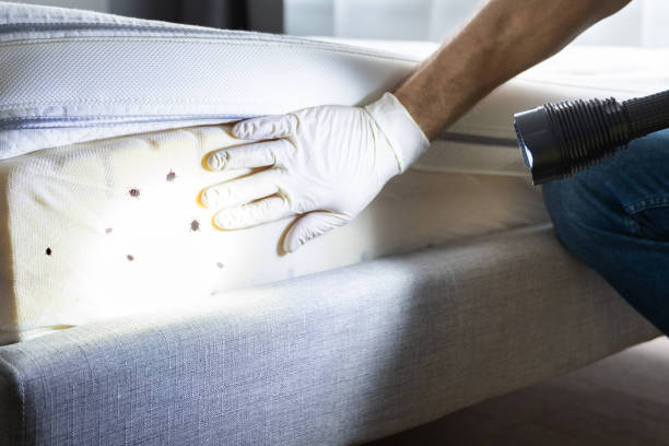 Best Pest Removal Services  in Seaside, OR