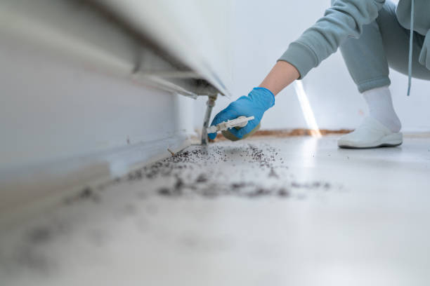 Best Pest Inspection Near Me  in Seaside, OR